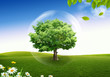 Natural landscape. ecological concept
