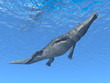 Diving Crocodile