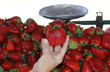 fraise en main