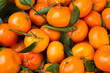 Clementines - a variety of mandarin orange