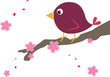 Bird on Cherry Blossom
