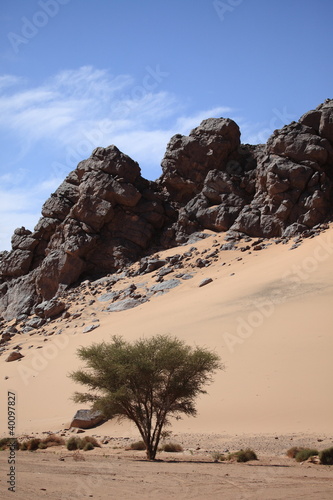Foto: Die Sahara in Algerien Die Sahara in Algerien