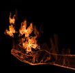 Papillon en feu