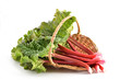 Rhubarb