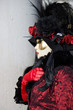 carnevale venezia