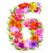 Zahl Blume - 6
