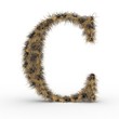 Texteffekt Haare Leopard C