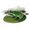 Frog Sitting On Water Lily Leaf Frog Sitting On Water Lily Leaf
