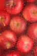 background with fresh red apples background with fresh red apples