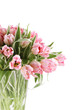 Pink tulips