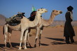Foto: Karawane in der Sahara Karawane in der Sahara