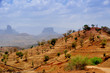 Wild West