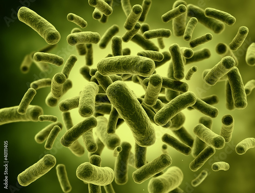 Illustration: Bacteria high resolution 3d render Bacteria high resolution 3d render