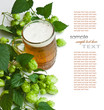 Beer and hop