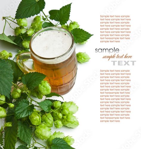 Photo: Beer and hop Beer and hop