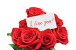 Paper card and roses