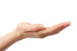 Female hand on a white background Female hand on a white background