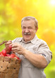 Harvesting a apple