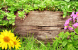 Summer background