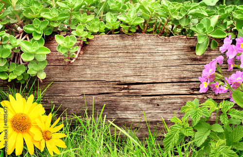 Foto: Summer background Summer background