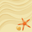 Starfish in the sand