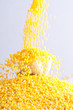 raw Millet