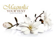 Magnolia flowers border