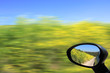 Driving in the car.