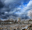 Dead City