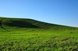 Cornocchio (Tuscany)