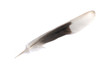 Feather