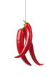 Red chili pepper