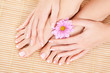 care for beautiful woman legs