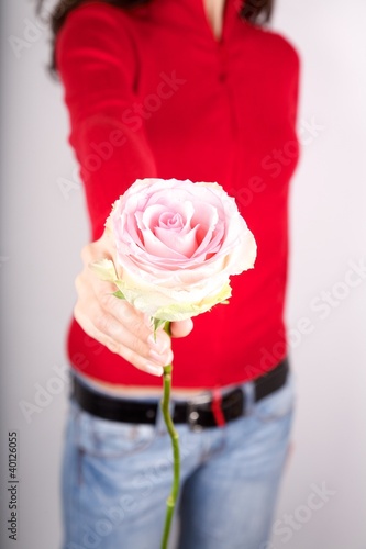 Photo: take pink rose take pink rose