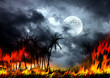 Fire