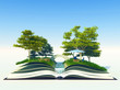 Magic book with a landscape Magic book with a landscape