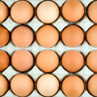 Chicken egg background