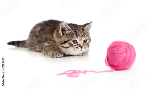 Photo: British kitten playing red clew or ball isolated British kitten playing red clew or ball isolated