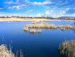 Rushy lake.