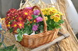 Korb mit Blumen
