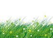Green meadow, seamless pattern for your design Green meadow, seamless pattern for your design