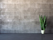 Interno vuoto