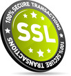 SSL 100% Secure Transactions