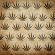 Grungy paper background with cannabis leaves