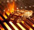 salmon fillet on the grill with flames