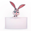 Easter bunny