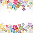 colorful flower background colorful flower background