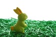 Lapin