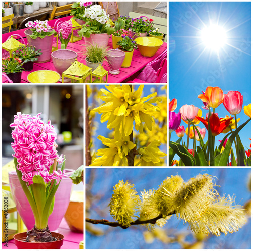 Photo: Frühling Frühling
