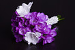 wedding  bouquet